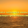 «Какого человека называют целеустремленным»