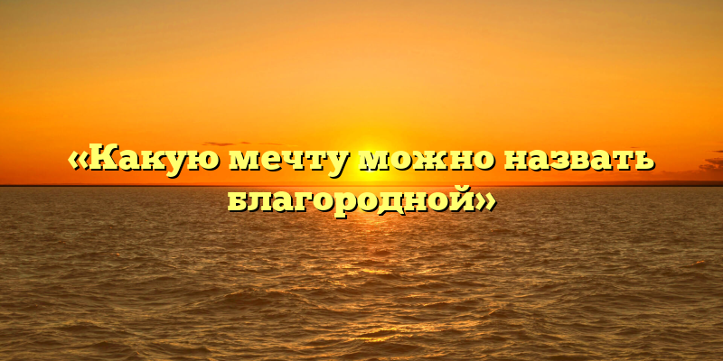 «Какую мечту можно назвать благородной»