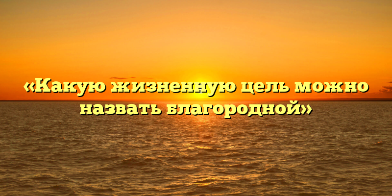 «Какую жизненную цель можно назвать благородной»