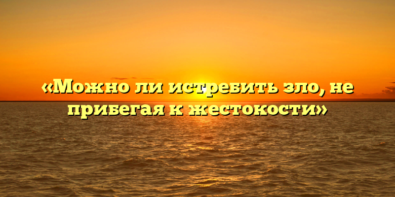 «Можно ли истребить зло, не прибегая к жестокости»
