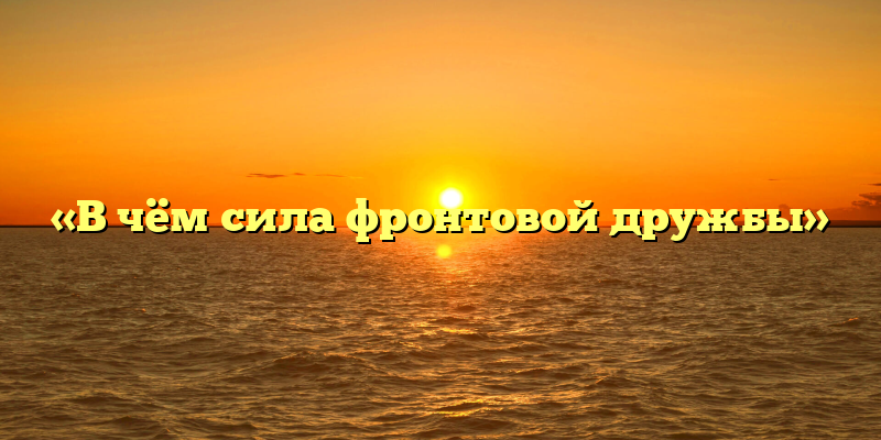 «В чём сила фронтовой дружбы»