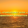 «Гонщик», «гоньщик» или «гончик» — как правильно пишется слово?