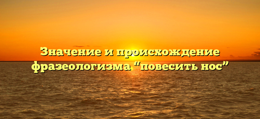 Значение и происхождение фразеологизма “повесить нос”
