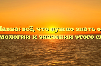 Лавка: всё, что нужно знать об этимологии и значении этого слова