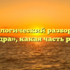 Морфологический разбор слова «бодра», какая часть речи