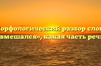 Морфологический разбор слова «вмешался», какая часть речи