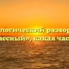 Морфологический разбор слова «внеклассный», какая часть речи