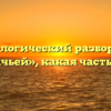 Морфологический разбор слова «казачьей», какая часть речи