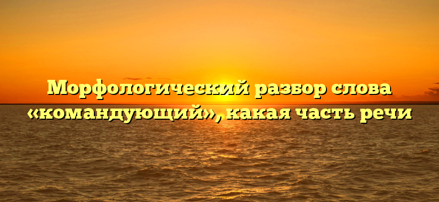 Морфологический разбор слова «командующий», какая часть речи