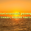 Морфологический разбор слова «политика», какая часть речи