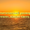 Морфологический разбор слова «посетил», какая часть речи