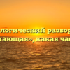 Морфологический разбор слова «провожающая», какая часть речи