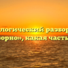 Морфологический разбор слова «проворно», какая часть речи