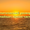 Морфологический разбор слова «пустолайка», какая часть речи