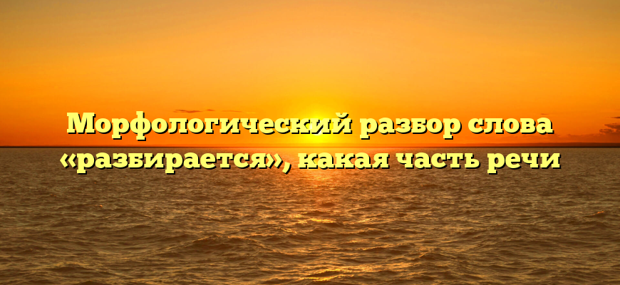 Морфологический разбор слова «разбирается», какая часть речи