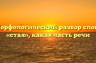 Морфологический разбор слова «стая», какая часть речи