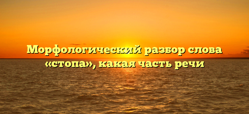 Морфологический разбор слова «стопа», какая часть речи