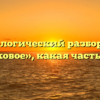 Морфологический разбор слова «толковое», какая часть речи