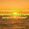 «Неблагодарный» или «не благодарный» — как правильно пишется слово?