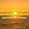 От среды до среды обитания: разбираемся в этимологии и значении слова.