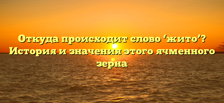 Откуда происходит слово ‘жито’? История и значения этого ячменного зерна