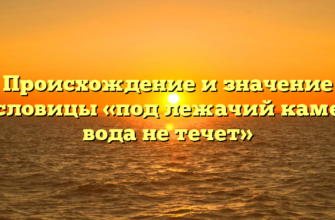Происхождение и значение пословицы «под лежачий камень вода не течет»