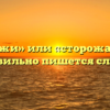 «Сторожи» или «сторожа» — как правильно пишется слово?