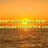 «Фейхоа» или «фейхуа» — как правильно пишется слово?