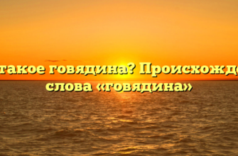 Что такое говядина? Происхождение слова «говядина»