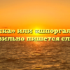 «Шпаргалка» или «шпоргалка» — как правильно пишется слово?