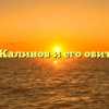 «Город Калинов и его обитатели»