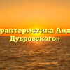 «Характеристика Андрея Дубровского»