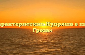 «Характеристика Кудряша в пьесе Гроза»