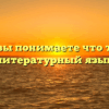 Как вы понимаете что такое литературный язык