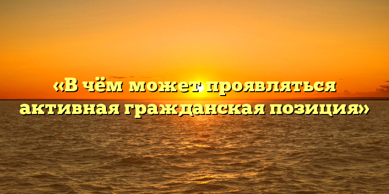 «В чём может проявляться активная гражданская позиция»