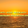 «Вяжет» или «вяжит» — как правильно пишется слово?