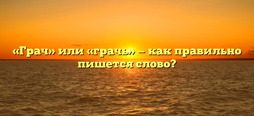 «Грач» или «грачь» — как правильно пишется слово?