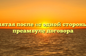 Запятая после «с одной стороны» в преамбуле договора