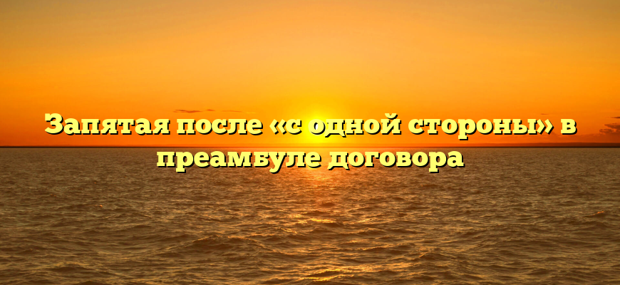 Запятая после «с одной стороны» в преамбуле договора
