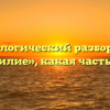Морфологический разбор слова «бессилие», какая часть речи