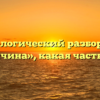 Морфологический разбор слова «величина», какая часть речи