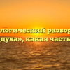 Морфологический разбор слова «голодуха», какая часть речи