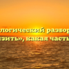 Морфологический разбор слова «занизить», какая часть речи
