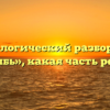 Морфологический разбор слова «зыбь», какая часть речи