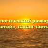 Морфологический разбор слова «лесистой», какая часть речи
