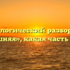 Морфологический разбор слова «лишняя», какая часть речи