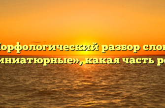 Морфологический разбор слова «миниатюрные», какая часть речи
