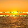 Морфологический разбор слова «министр», какая часть речи