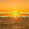 Морфологический разбор слова «написаны», какая часть речи