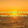 Морфологический разбор слова «подгони», какая часть речи